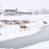 farm and snow, Олбани