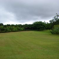 Maui Pinapple Plantation, Ваикапу