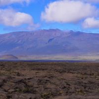 2013-10-20 Mauna Kea from the saddle behind Puu Huluhulu cone., Канеоха