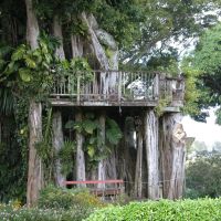 Banyan Treehouse, Капаау
