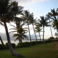 Palms on the Kihei Coast, Кихей