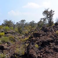 2014-05-09 Geocaching in A-a lava flows by the Mauna Loa Observatory Road, Лиху
