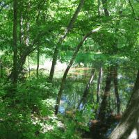 Hidden Pond, Талливилл