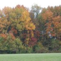 Autumn Leaves panorama, Талливилл