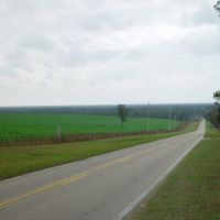 looking south toward Wacissa River, Thomas City, Florida (12-31-2006), Аттапулгус