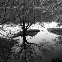 Natures Mirror, Белведер Парк