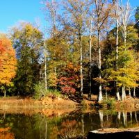 Faithful reflections of Autumn wander along Tobbler Creek., Вернонбург