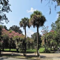 Colonial Park Cemetery (Savannah, GA), Саванна