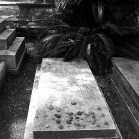 Johnny Mercers Grave, Тандерболт