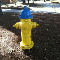 American Darling Fire Hydrant 03081, Тандерболт