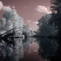 Buckhannon River "In Infrared", Бакханнон