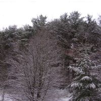 Winter, Бакханнон