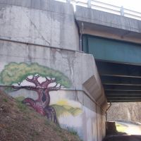 University Avenue Overpass Graffitti, Моргантаун