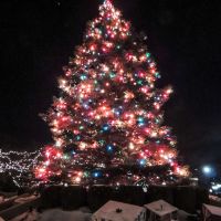Tall Christmas Tree, Арлингтон-Хейгтс