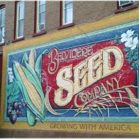 Belvidere Seed Company - Belvidere, IL City of Murals, Белвидер