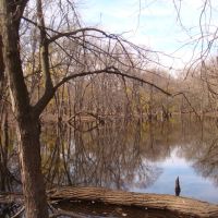 water body in the forest preserve, Елмвуд Парк