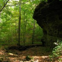 Shawnee National Forest, Зейглер