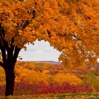 Fall Colors on Grandview Drive, Кантон