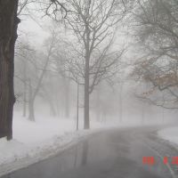 Rainny day, foggy day, snowy day and Monday!, Кантон