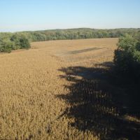 dry crop field, Ла Салл