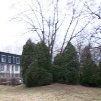 Trees outside 1354 building, Ломбард