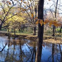 - Autumn Colors - Chicago River (North branch) in St Paul Wood / Morton Grove, Мортон Гров