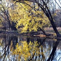 Chicago River (North branch) in St Paul Wood - Autumn Colors, Мортон Гров