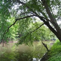 Des Plaines River in Half Day Forest Preserve, Норт Парк