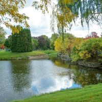 Golf Course Pond, Норт Парк