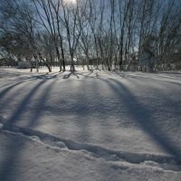 Tracks in the snow, Палатин