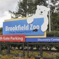 Brookfield Zoo, GLCT, Риверсид