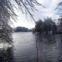 Cougar Lake after an ice storm, Роксана