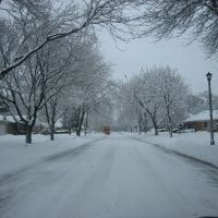 Snow Plow Skokie-Illinois, Скоки