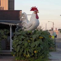 Chicken Statue (North Galena Avenue @ West Douglas Street), GLCT, Фрипорт