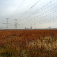 Des Plaines Conservation Area with high voltage power lines, Брук