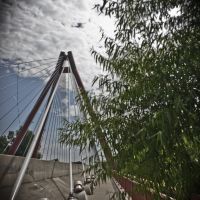 Bridge, Колумбус