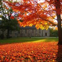 Fall in Bloomington, Меридиан Хиллс