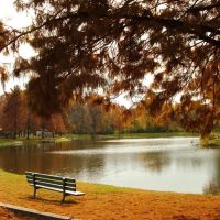 Krannert Park in Autumn, Меридиан Хиллс