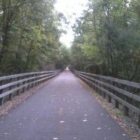Oak Savannah Trail, Хобарт