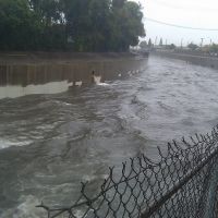 Dominguez Channel downstream of Redondo Beach Blvd, Алондра-Парк