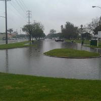 Flooding in Alondra Park Parking Lot, Алондра-Парк