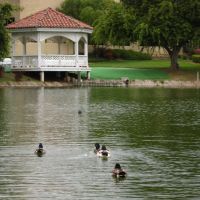 Almansor Parks pond, Альгамбра