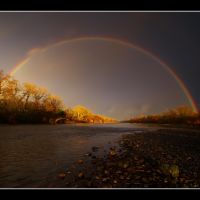 American River Rainbow, Арден