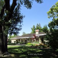 Shady trees, expansive lawns, and traditional homes make up Arden Park in Sacramento, CA, Арден