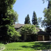 Towering redwood trees and mature landscapes create a wonderful feel in Sierra Oaks, Sacramento, Арден