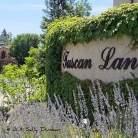 Tuscan Lane, Sacramento is a gated development of custom Tuscan styled homes., Арден
