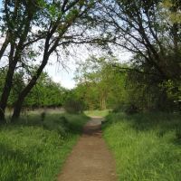 Pioneer Express Trail for Horses, along the Jedediah Smith Memorial Trail, American River Parkway, Sacramento County Regional Park, Арден