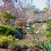 LA County Arboretum, Аркадиа