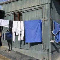 Wash Day at the Stables, Аркадиа