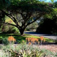 The Arboretum of Los Angeles County, CaliforniaThe Arboretum of Los Angeles County, California, Аркадиа